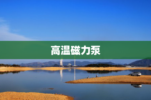 高温磁力泵