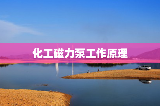 化工磁力泵工作原理
