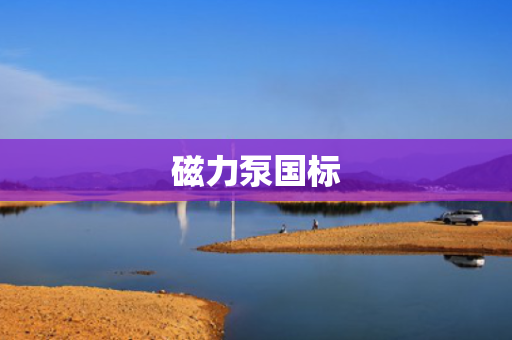 磁力泵国标