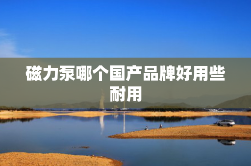 磁力泵哪个国产品牌好用些耐用