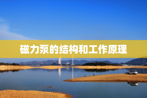磁力泵的结构和工作原理
