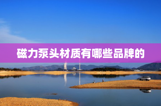 磁力泵头材质有哪些品牌的