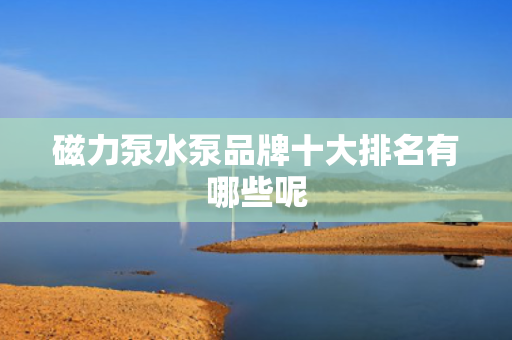 磁力泵水泵品牌十大排名有哪些呢