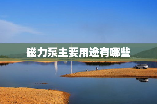 磁力泵主要用途有哪些