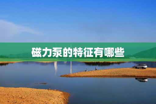 磁力泵的特征有哪些