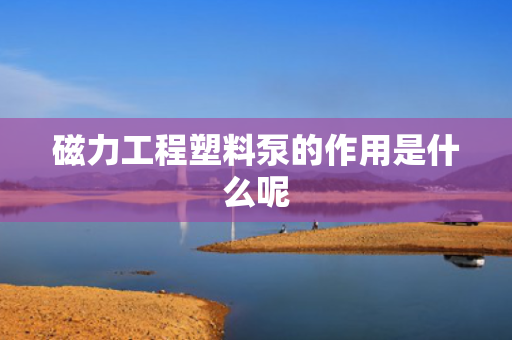 磁力工程塑料泵的作用是什么呢