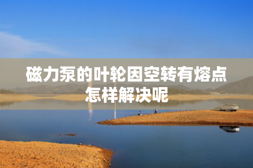 磁力泵的叶轮因空转有熔点怎样解决呢