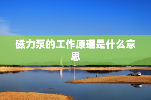磁力泵的工作原理是什么意思
