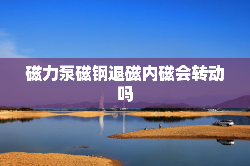 磁力泵磁钢退磁内磁会转动吗
