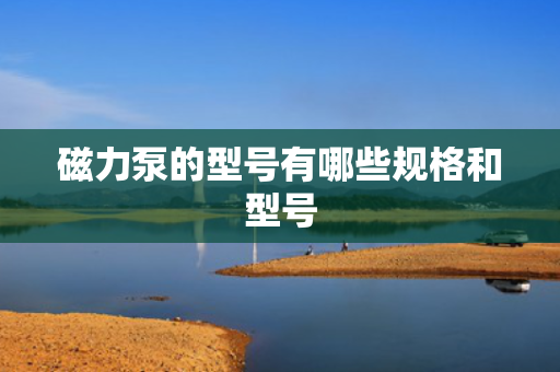 磁力泵的型号有哪些规格和型号