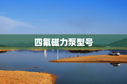 四氟磁力泵型号