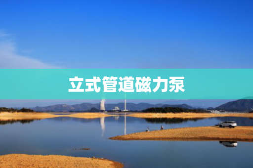 立式管道磁力泵