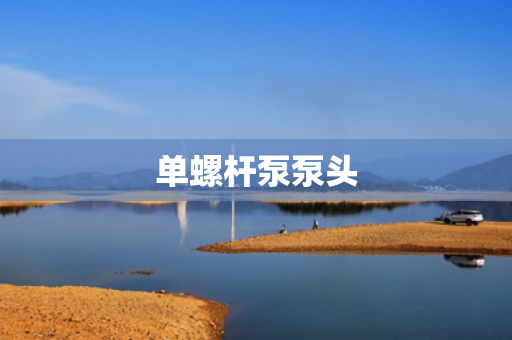 单螺杆泵泵头