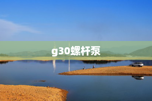 g30螺杆泵