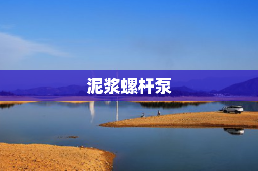泥浆螺杆泵