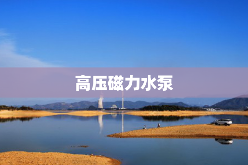 高压磁力水泵
