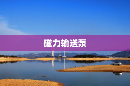 磁力输送泵