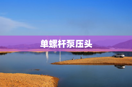 单螺杆泵压头