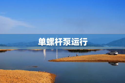 单螺杆泵运行