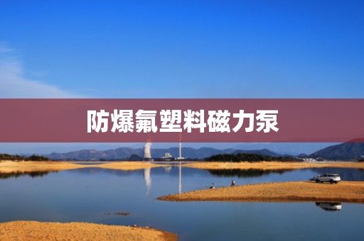 防爆氟塑料磁力泵
