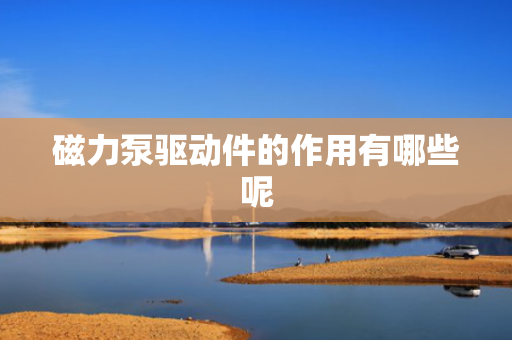 磁力泵驱动件的作用有哪些呢