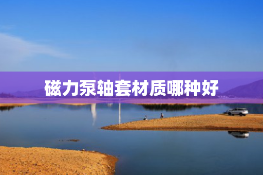 磁力泵轴套材质哪种好