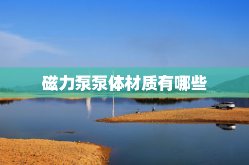 磁力泵泵体材质有哪些