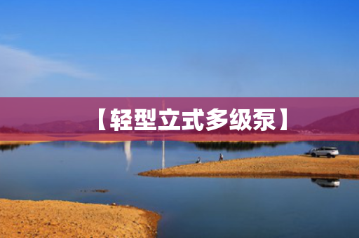 【轻型立式多级泵】