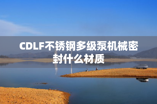 CDLF不锈钢多级泵机械密封什么材质
