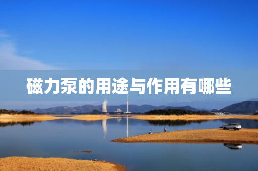 磁力泵的用途与作用有哪些