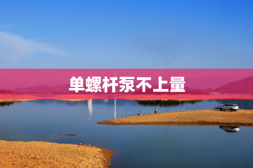 单螺杆泵不上量