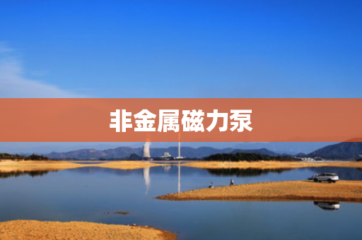 非金属磁力泵