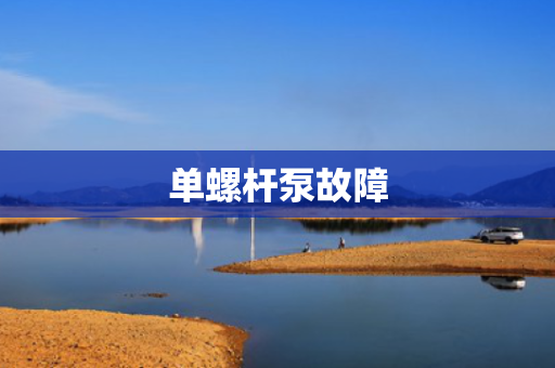 单螺杆泵故障
