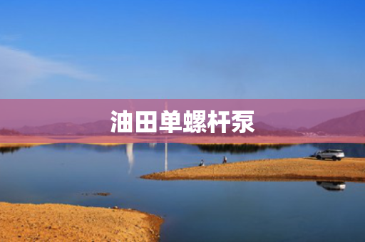 油田单螺杆泵