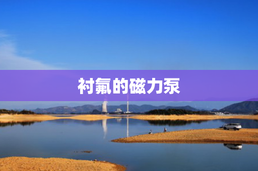 衬氟的磁力泵