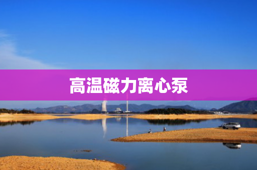 高温磁力离心泵