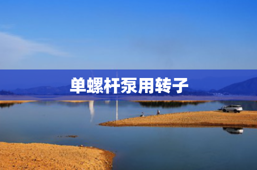 单螺杆泵用转子