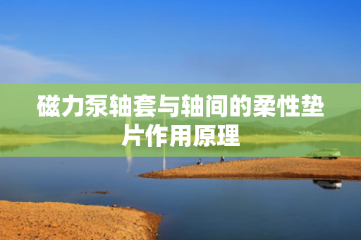 磁力泵轴套与轴间的柔性垫片作用原理