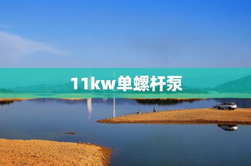 11kw单螺杆泵