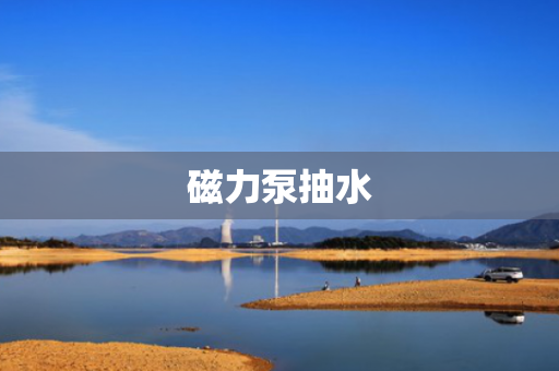 磁力泵抽水