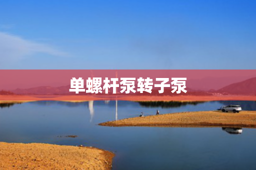单螺杆泵转子泵