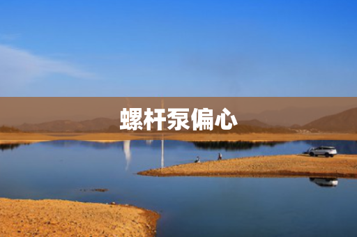 螺杆泵偏心