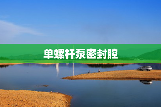 单螺杆泵密封腔