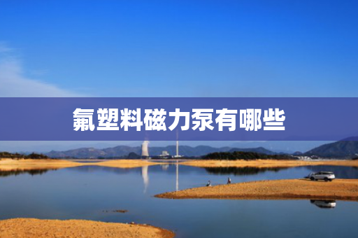 氟塑料磁力泵有哪些