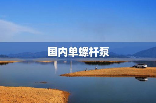 国内单螺杆泵