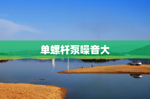 单螺杆泵噪音大