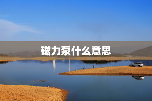 磁力泵什么意思