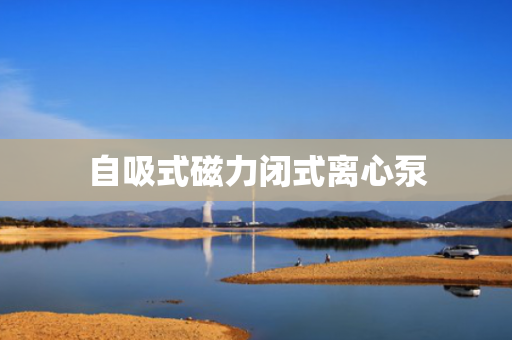 自吸式磁力闭式离心泵