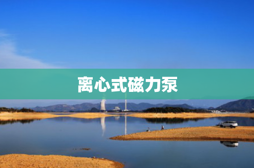 离心式磁力泵