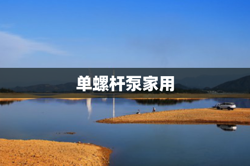 单螺杆泵家用